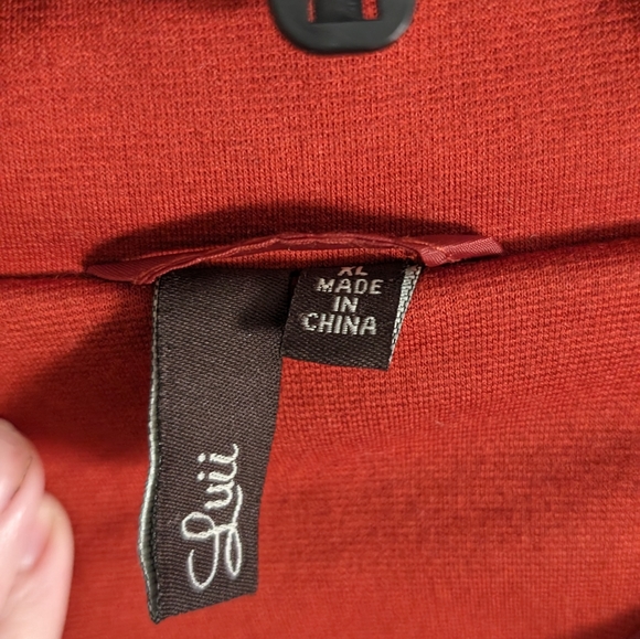 Rust Colored Blazer - Picture 2 of 4